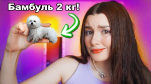 Наша СОБАКА СПУСТЯ ГОД