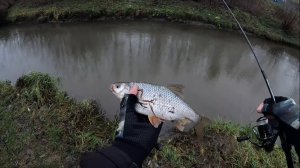 Мормышинг в конце Ноября.