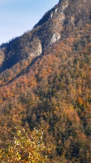 Горы , Красная поляна, Роза хутор 🏔️