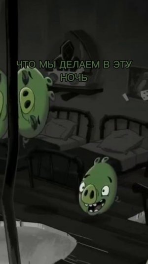 ЧТО МЫ ДЕЛАЕМ В ЭТУ НОЧЬ | #memes #мемас #мем #rytp #свиньи #мемы #shorts #мемасики #ночь #спать