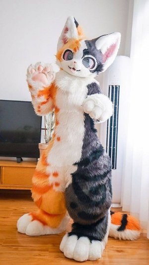 ТАНКИ ФУРРИ?!?!