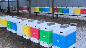 Вентиляция для ульев ППС