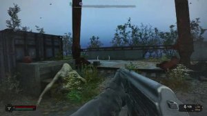 сталкер 2 лесничество тайник бронежелет псз-5д Долг затон