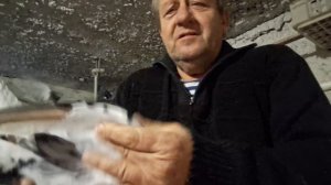 1000106711.mp4 Готовность наших голубей!