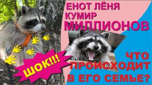 МИЛЛИОНЫ ПРОСМОТРОВ В СЕТИ. Обратная сторона жизни ЕНОТА..