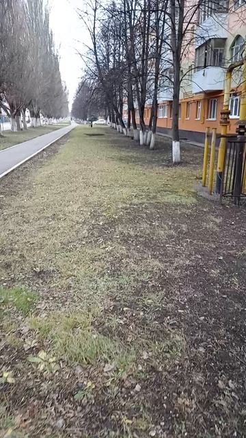 Если женщина дворник смотреть онлайн