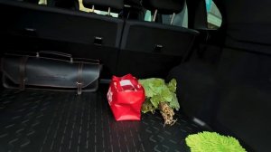 В этом ролике мы вместе с реальным владельцем Exlantix ET разбираем опыт эксплуатации после первы...