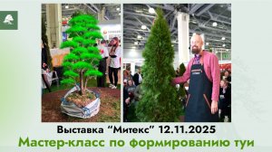 Мастер-класс по формированию многоствольной туи на выставке Mitex 12.11.2025