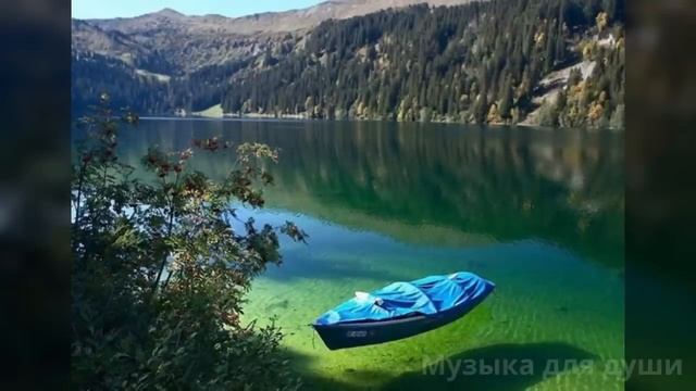 Сборник лучшего шансона за 2025, только новые хиты - песни для души @Музыкадлядуши-1