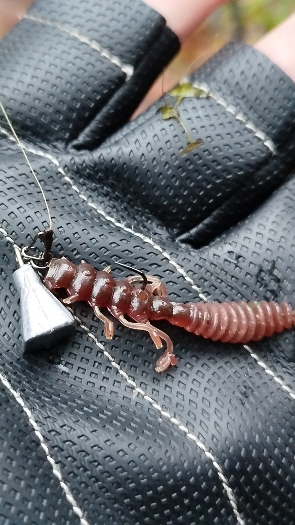 Игра на Трофейного ОКУНЯ смотреть онлайн