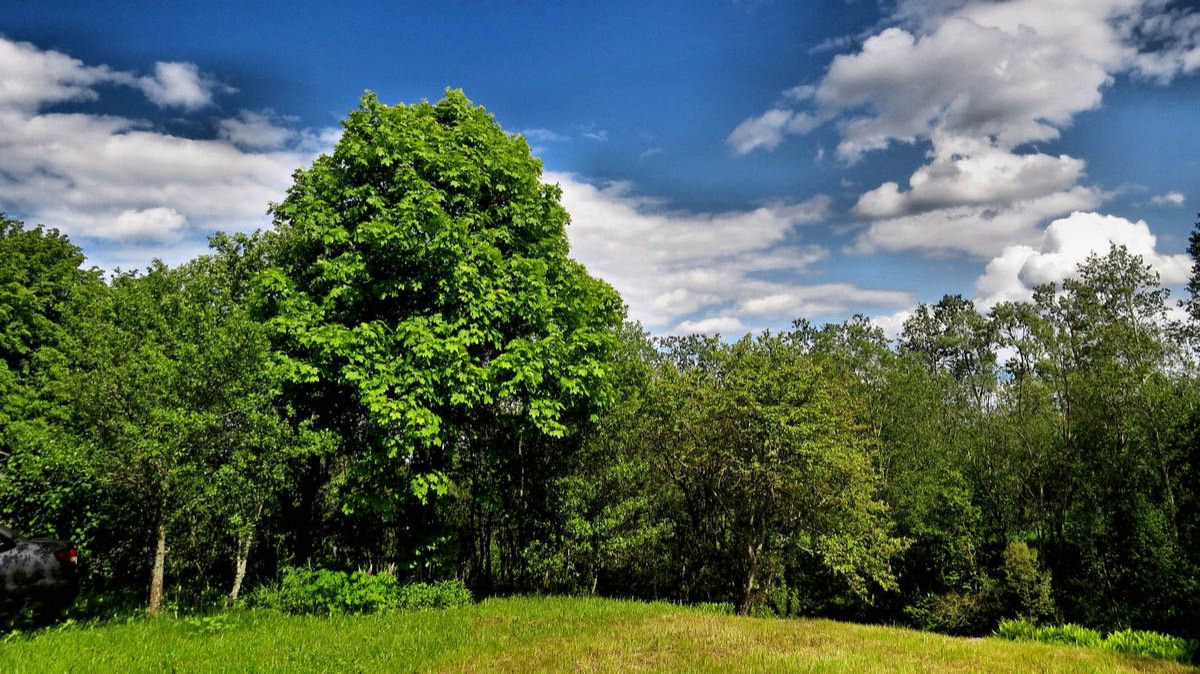 Майское тепло смотреть онлайн