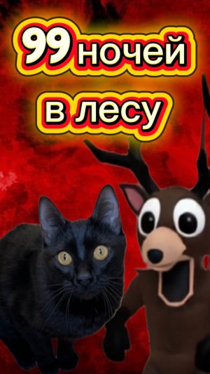 Кто же украл конфету? 🙀 #кот #кошка #котики #животные #ужасы #конфета #99ночейвлесу