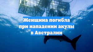 Женщина погибла при нападении акулы в Австралии