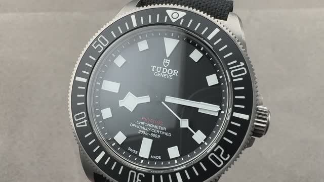 Tudor Pelagos FXD "US Navy" (25717N-0001)
