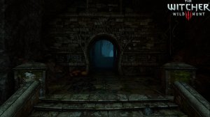 Ведьмак 3 - Выбор Трисс #24 - Солнечный Камень