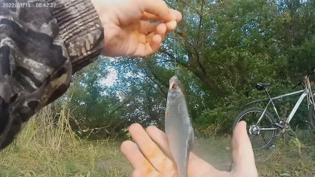 Архив. Рыбалка на Свияге в Лаишевке. Август 2024 года. смотреть онлайн