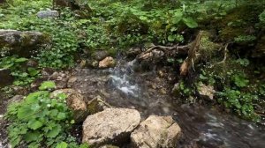 Слушая слова из Писания, вы почувствуете себя окруженными Его любовью и Ангельской охраной.