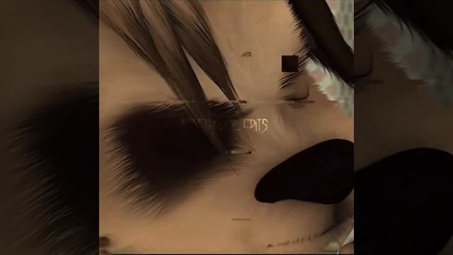 дружок Эдит смотреть онлайн