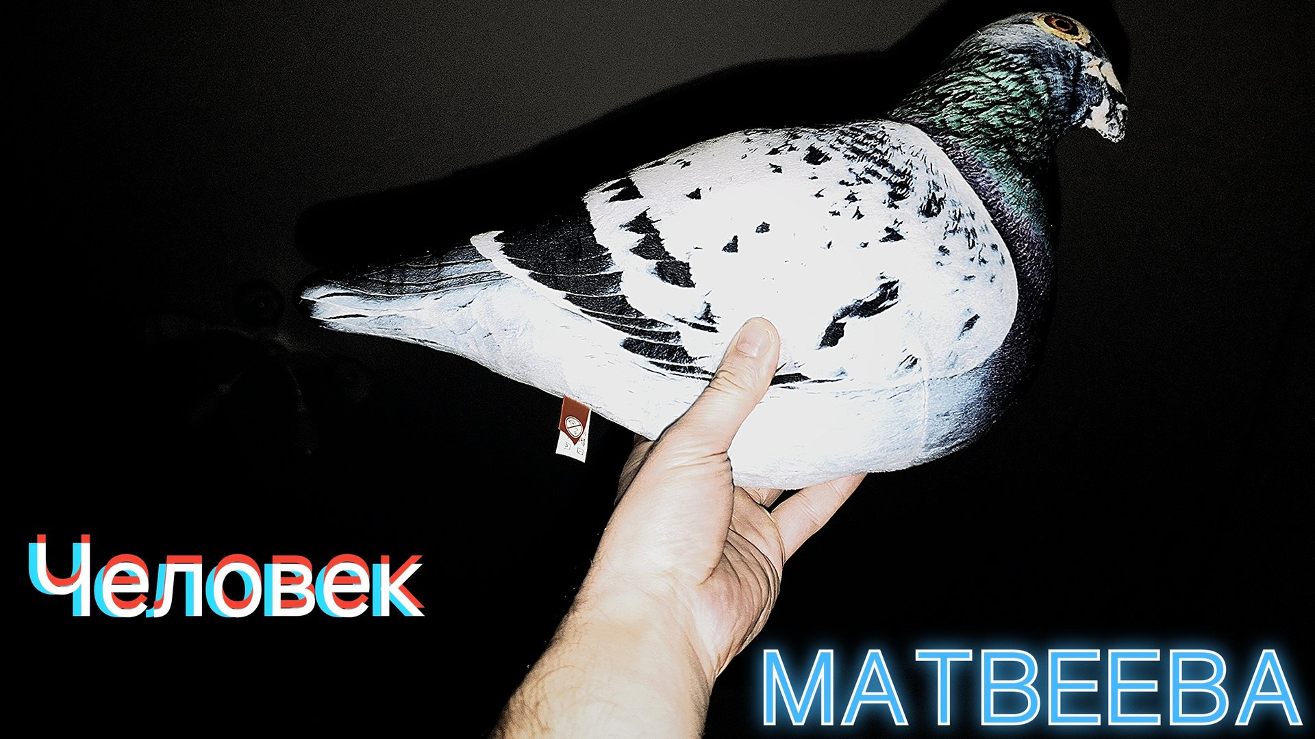 Человек Матвеева