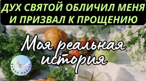 ДУХ СВЯТОЙ ОБЛИЧИЛ МЕНЯ И ПРЕПОДАЛ МНЕ УРОК ЧЕРЕЗ ПРИТЧУ О ДОЛЖНИКЕ. СВИДЕТЕЛЬСТВО ИРИНЫ БОГОЛЮБОВОЙ
