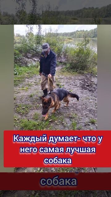 Самая лучшая собака