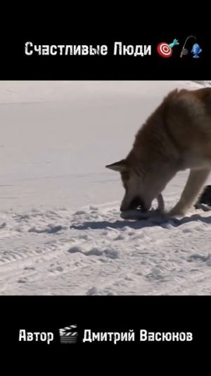 Счастливые Люди 🎯🎣