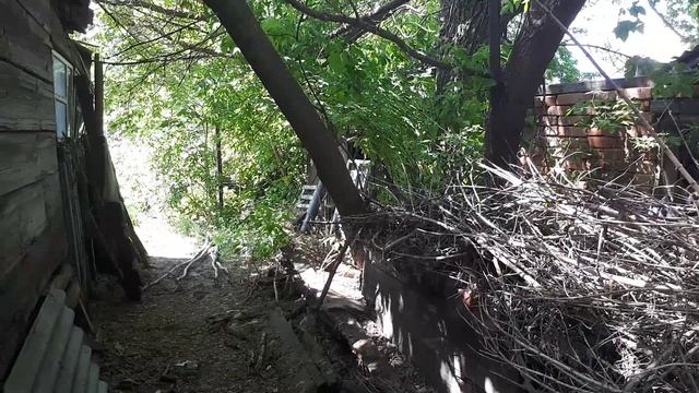 Расчистка участка. Часть 5