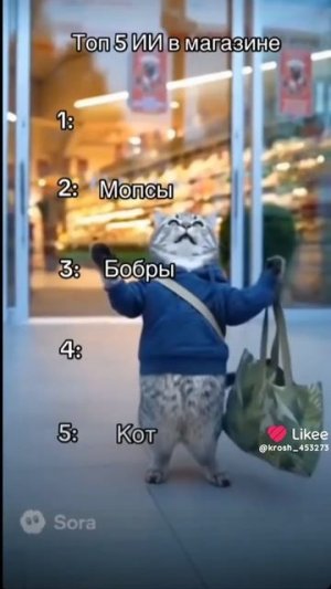 топ 5 в магазине