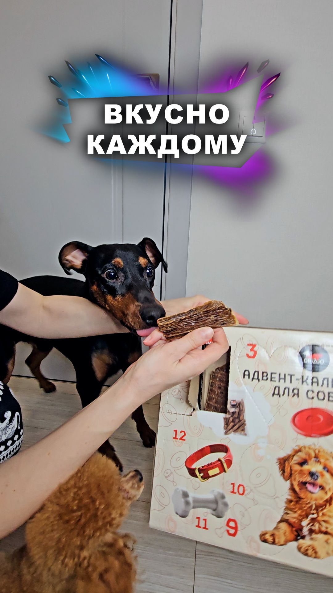Добываем новые вкусняшки #животные смотреть онлайн