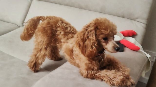 1000006256.mp4 смотреть онлайн