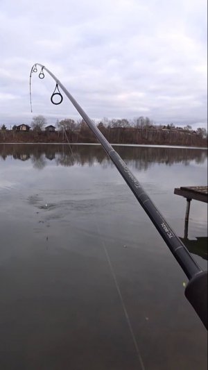 1-2-3-4-ПЯТЬ и ОН СИДИТ.