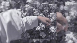 плейлист песен из тик тока популярные