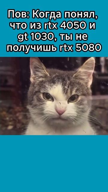 Ну почему так 😫 #мем #программирование #пк смотреть онлайн