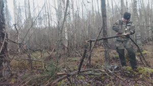 КАК СДЕЛАТЬ ЛОВУШКУ НА КУНИЦУ? ВЫБОР МЕСТА ПОД КАПКАН. НАШЁЛ ЗАСИДКУ. ПРОВЕРИЛ КОРМУШКУ ДЛЯ БОРОВОЙ