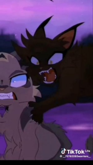 Коты воители уголёк эдит