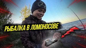 Рыбалка в Ломоносове