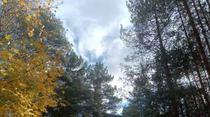 С собой наедине  я встречу рассвет - Василий Евич (сл. и муз. Дмитрий Лузгин)