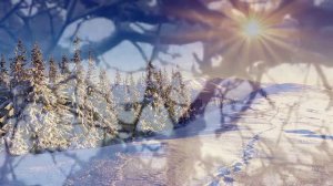 исп.Алешин А. Танец Огня автор О. Сапегин