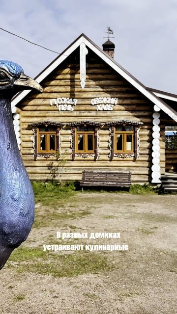 Деревушка со страусами. Что может быть лучше?)