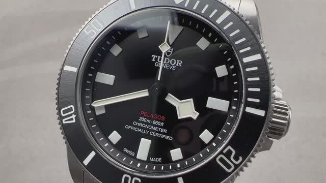 Tudor Pelagos 39 25407N-0001