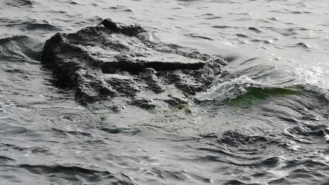 DSCN0265 смотреть онлайн