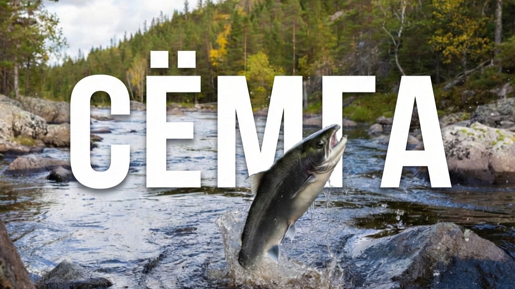 Не верится: как семга берёт водопады Кольского! смотреть онлайн