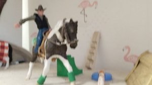 Новости (простите что без монтажа)