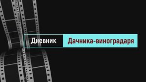 Виноград Неро