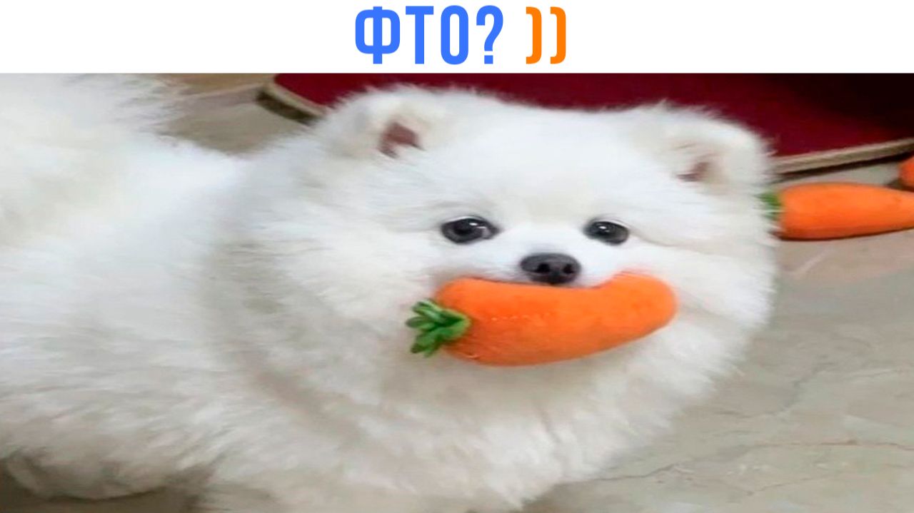 НИФЕВО ))) Приколы | Мемозг 1692 смотреть онлайн