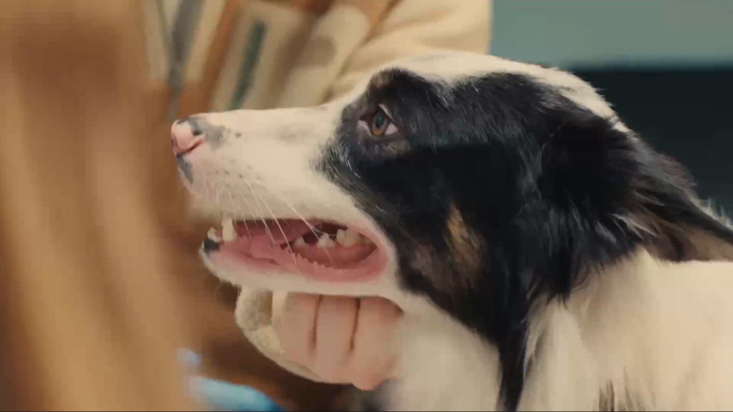 Разговоры о важном 1 декабря 2025 смотреть онлайн