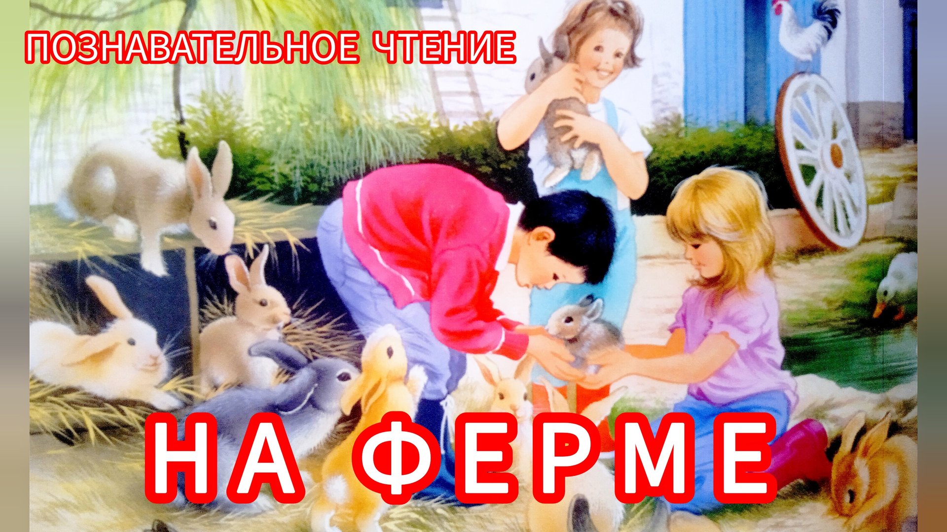 НА ФЕРМЕ🤗👍познавательное видео / для моих маленьких друзей/ смотреть онлайн