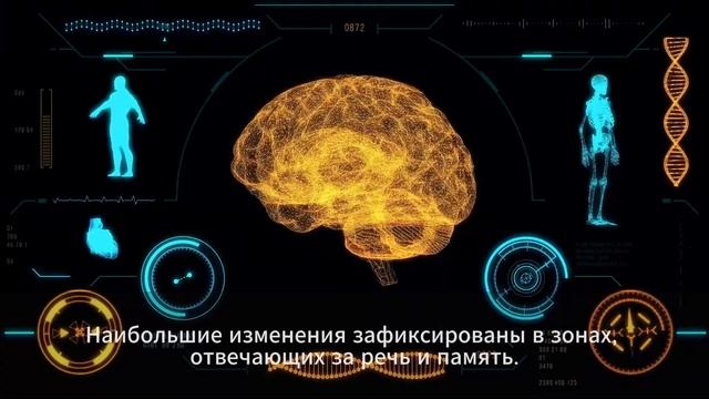 Почему арахис полезен для мозга смотреть онлайн