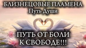 Близнецовые Пламена. Путь от боли к свободе