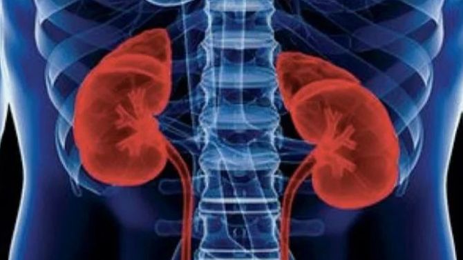 Заболевания почек при беременности смотреть онлайн